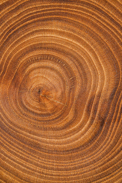 Cedarwood